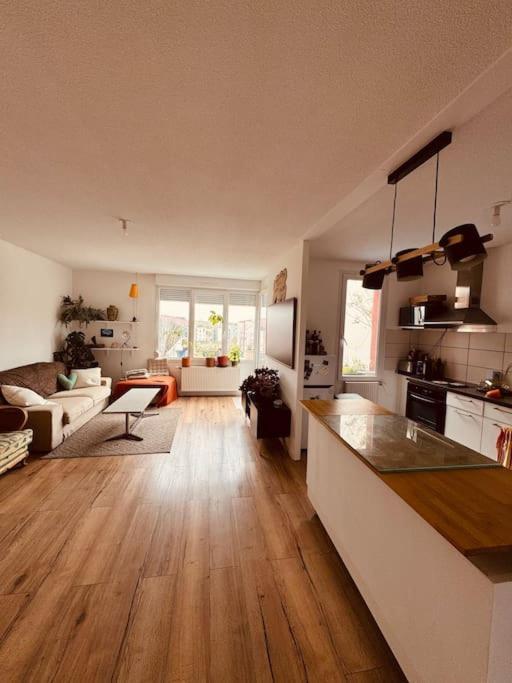 Bel Appartement Proche Mulhouse Pfastatt Esterno foto